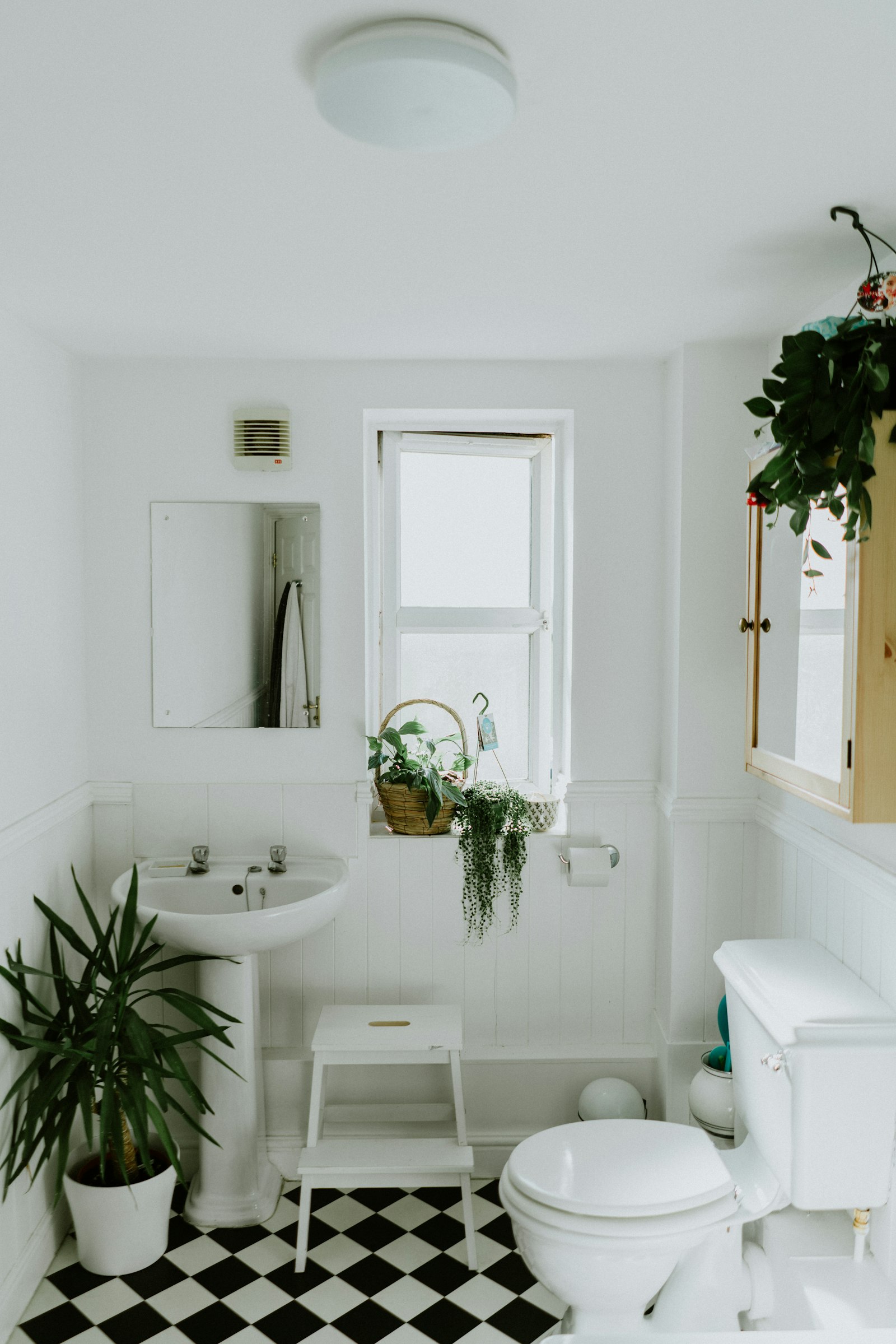 Emergency plumbing intake